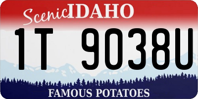 ID license plate 1T9038U