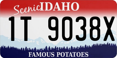 ID license plate 1T9038X