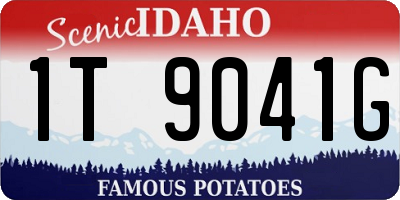 ID license plate 1T9041G