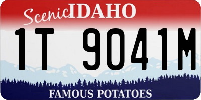 ID license plate 1T9041M