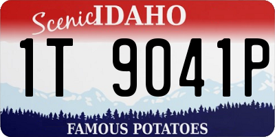 ID license plate 1T9041P