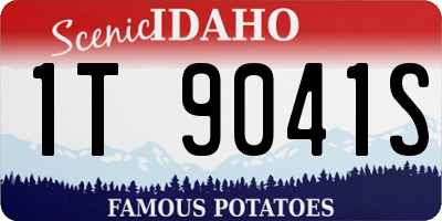 ID license plate 1T9041S