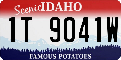ID license plate 1T9041W