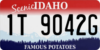 ID license plate 1T9042G