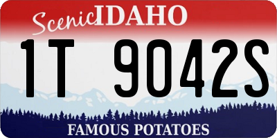 ID license plate 1T9042S