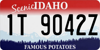 ID license plate 1T9042Z