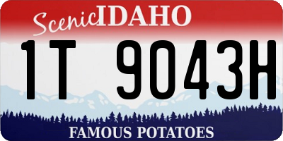 ID license plate 1T9043H