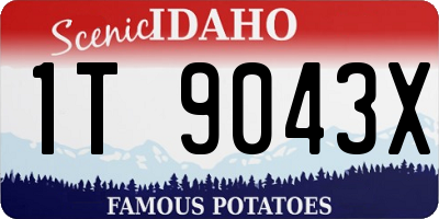 ID license plate 1T9043X