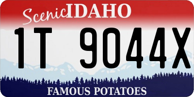 ID license plate 1T9044X
