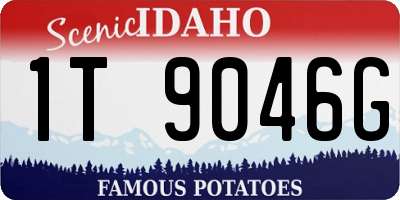 ID license plate 1T9046G