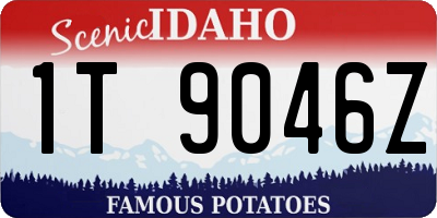 ID license plate 1T9046Z