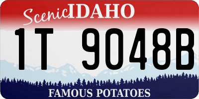ID license plate 1T9048B