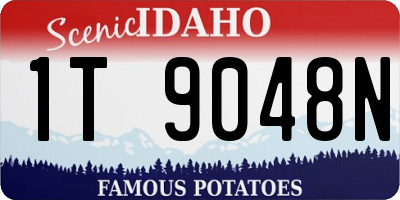 ID license plate 1T9048N