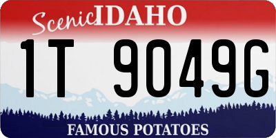 ID license plate 1T9049G