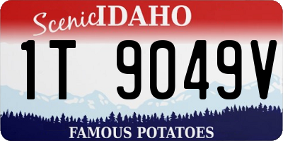 ID license plate 1T9049V