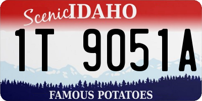ID license plate 1T9051A