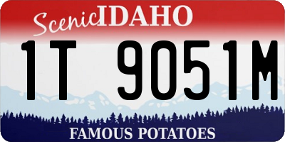 ID license plate 1T9051M