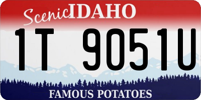 ID license plate 1T9051U