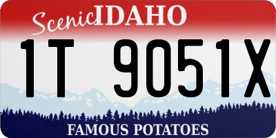 ID license plate 1T9051X