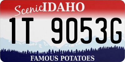 ID license plate 1T9053G
