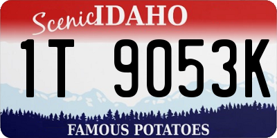 ID license plate 1T9053K
