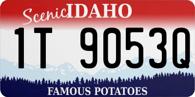 ID license plate 1T9053Q