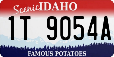 ID license plate 1T9054A