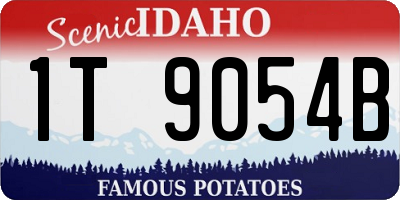 ID license plate 1T9054B