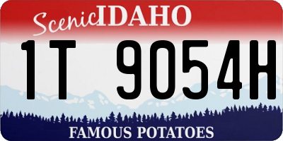 ID license plate 1T9054H