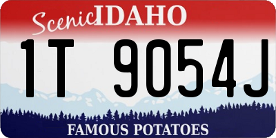 ID license plate 1T9054J