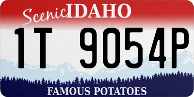 ID license plate 1T9054P