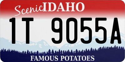 ID license plate 1T9055A