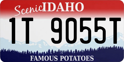 ID license plate 1T9055T