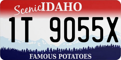 ID license plate 1T9055X