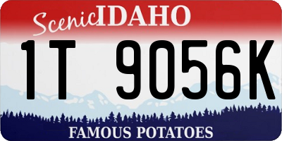 ID license plate 1T9056K