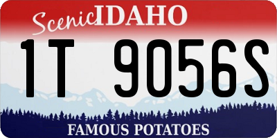 ID license plate 1T9056S