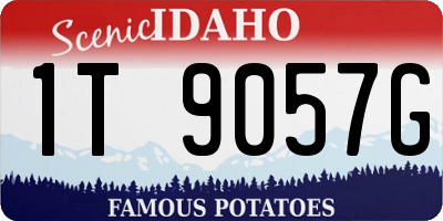 ID license plate 1T9057G