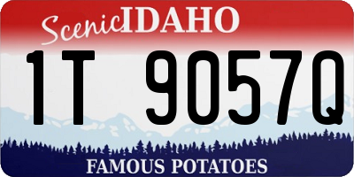 ID license plate 1T9057Q