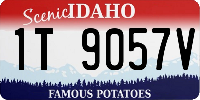 ID license plate 1T9057V