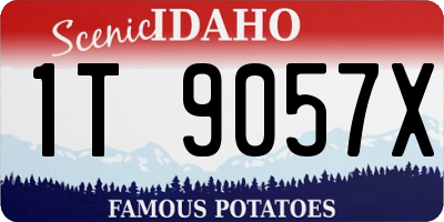 ID license plate 1T9057X