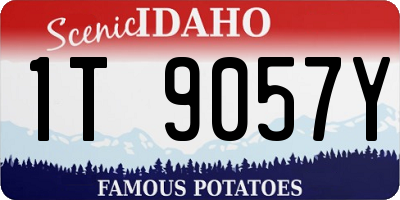 ID license plate 1T9057Y