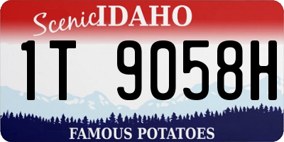 ID license plate 1T9058H