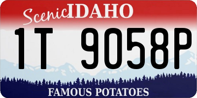 ID license plate 1T9058P