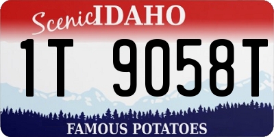 ID license plate 1T9058T