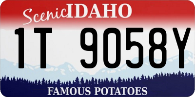 ID license plate 1T9058Y