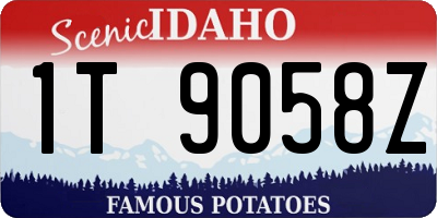 ID license plate 1T9058Z