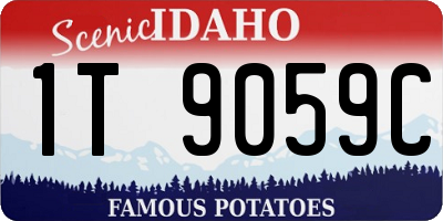 ID license plate 1T9059C