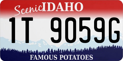 ID license plate 1T9059G