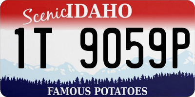 ID license plate 1T9059P