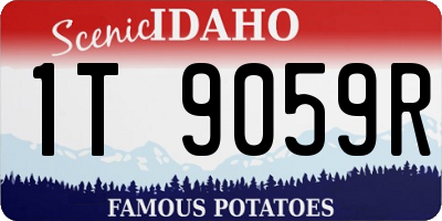 ID license plate 1T9059R